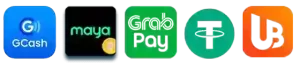 aaaaph website image 224 showing payment method banner 1
